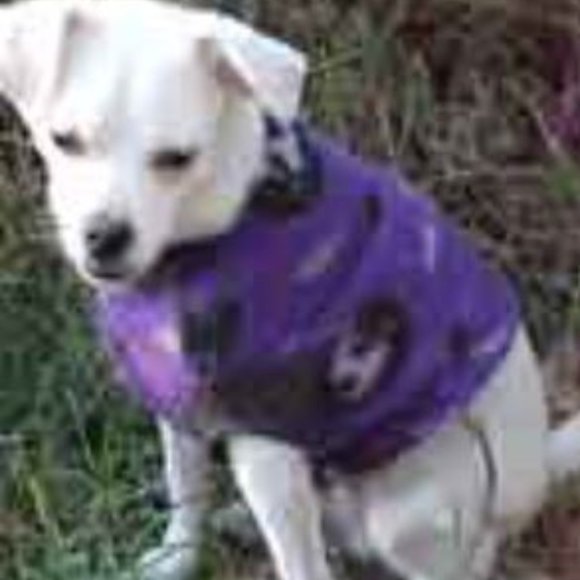DogtownUSA hand crafted Other - doggie clothes